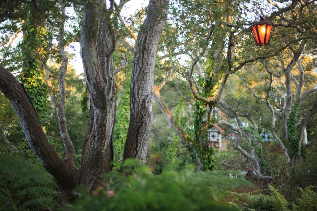 Old Monterey Inn Kültér fotó